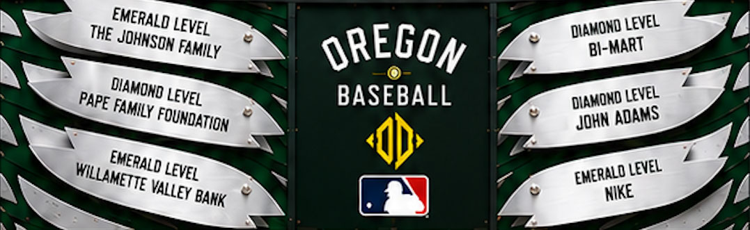 Diamond Ducks Baseball